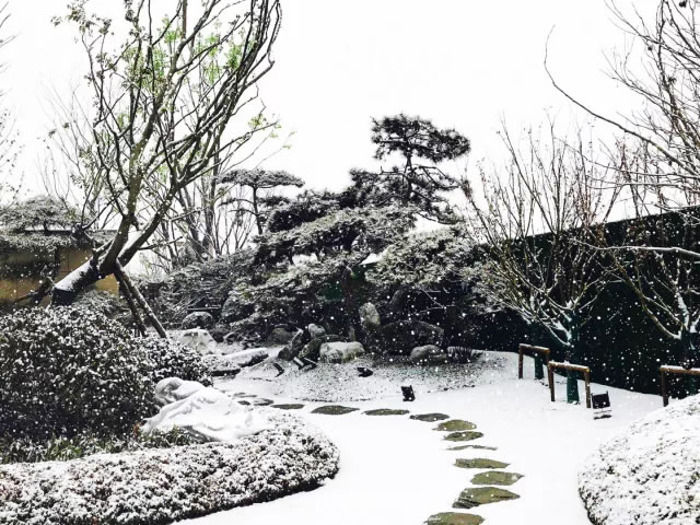 1676561042774139.jpg 2.jpg