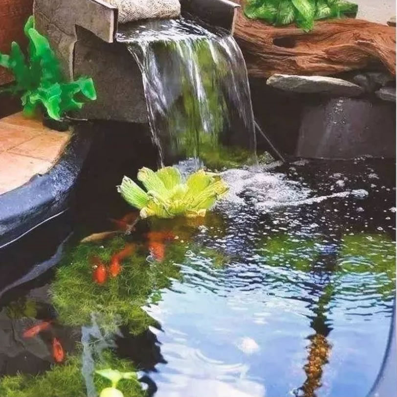 1676561317236938.jpg 3.jpg